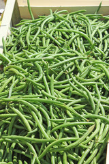 Cagette de haricots vert