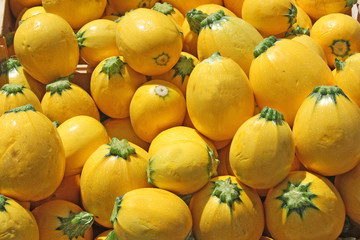 Courgettes rondes jaune
