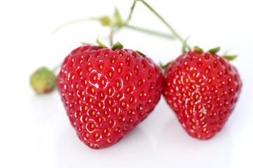 Organic strawberries on white background