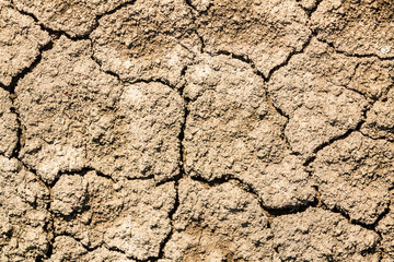 Dry cracked earth