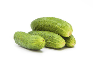 isolated cucumber