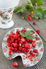 Wild strawberry.