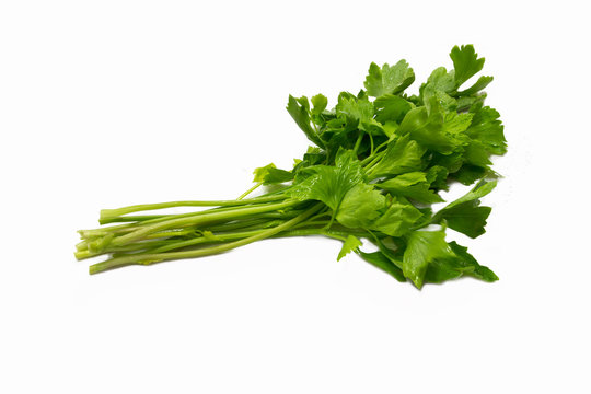 Celery fresh