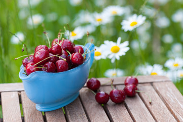 Frisch gepflückte Süßkirschen