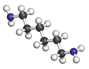 Hexamethylenediamine, nylon (polyamide) building block.
