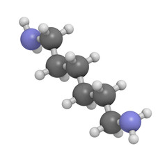 Hexamethylenediamine, nylon (polyamide) building block.
