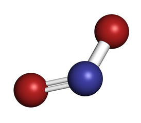 Nitrite (NO2-) anion. Nitrite salts are used in the curing of me