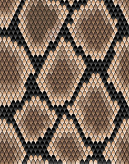 Seamless pattern of snake skin