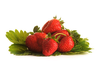Truskawki na białym tle