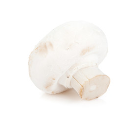 Champignon mushroom