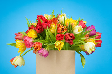Tulips in paper bag on blue background