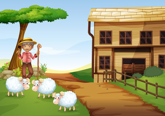 An old man at the farm with three sheeps