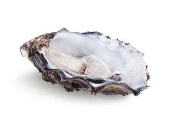 Draagtas Fresh opened oyster © Lev