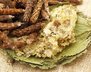 Chinese herbal medicine