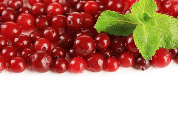 Ripe red cranberries, isolated on white.