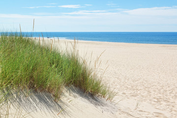 Fototapeta na wymiar Wydmy na słonecznej plaży, w pobliżu plaży. Lato.