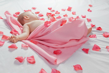 Sleeping baby covered with a pink blanket around him and rose pe