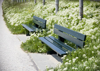bancs publique