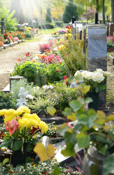 Friedhof 37