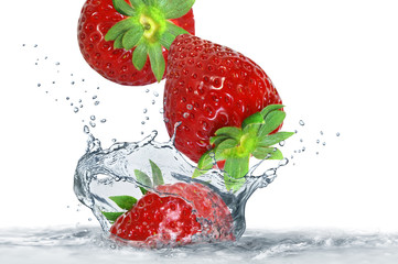 Obst 317