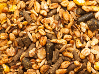 horse muesli background . sport line high quality