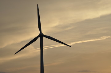 Windmill, production of green energy. Masts with blades