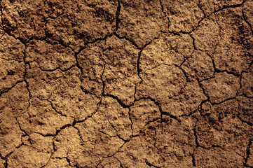 Dry soil texture