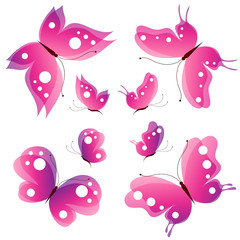 butterfly,butterflies vector