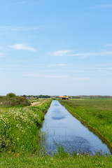 Landscape Dutch wadden island Texel