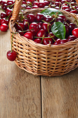 Basket of organic Cherries