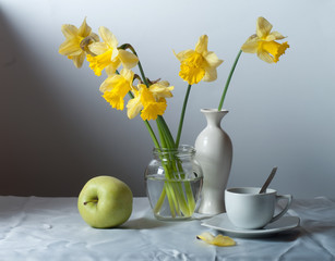 daffodils