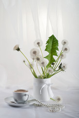 dandelions