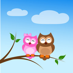 zwei eulen auf nem ast