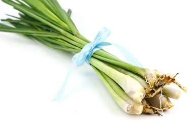 lemon grass  on  white background