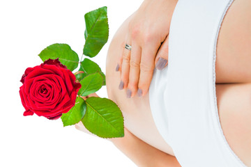 Babybauch neunter Monat mit Rose isoliert