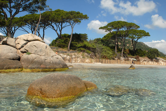 Plage de Tamariccio