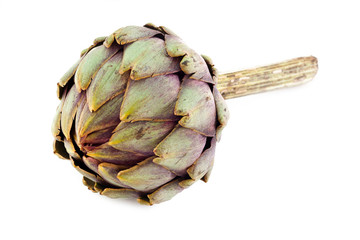 Artischocke liegend - Artichoke lying