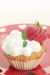 Sponge cupcake