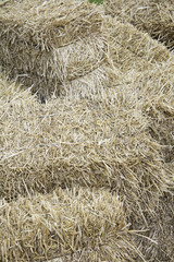 Straw in haystack