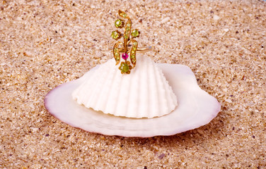 Beautiful exotic shell with golden  ring