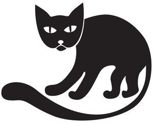 Black cat