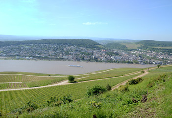 Weinberge Bingen am Rhein