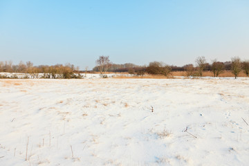 Snow winter landscape with trees and blue sky in Holland. The Ne