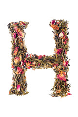 Letter 'H' from herbal tea abc