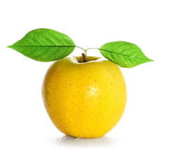 fresh and wet yellow apple with green leaf