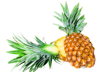 Pineapple cut in half on a white background isolated
