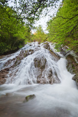waterfall surrounded by trees with green leaves