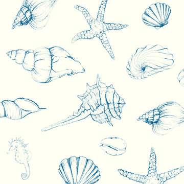 Vector Illustration of Hand-drawn Seashells
