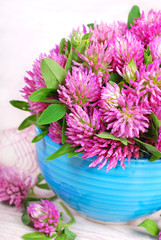 pink clover bunch
