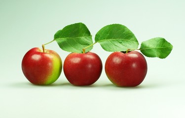 drei Äpfel